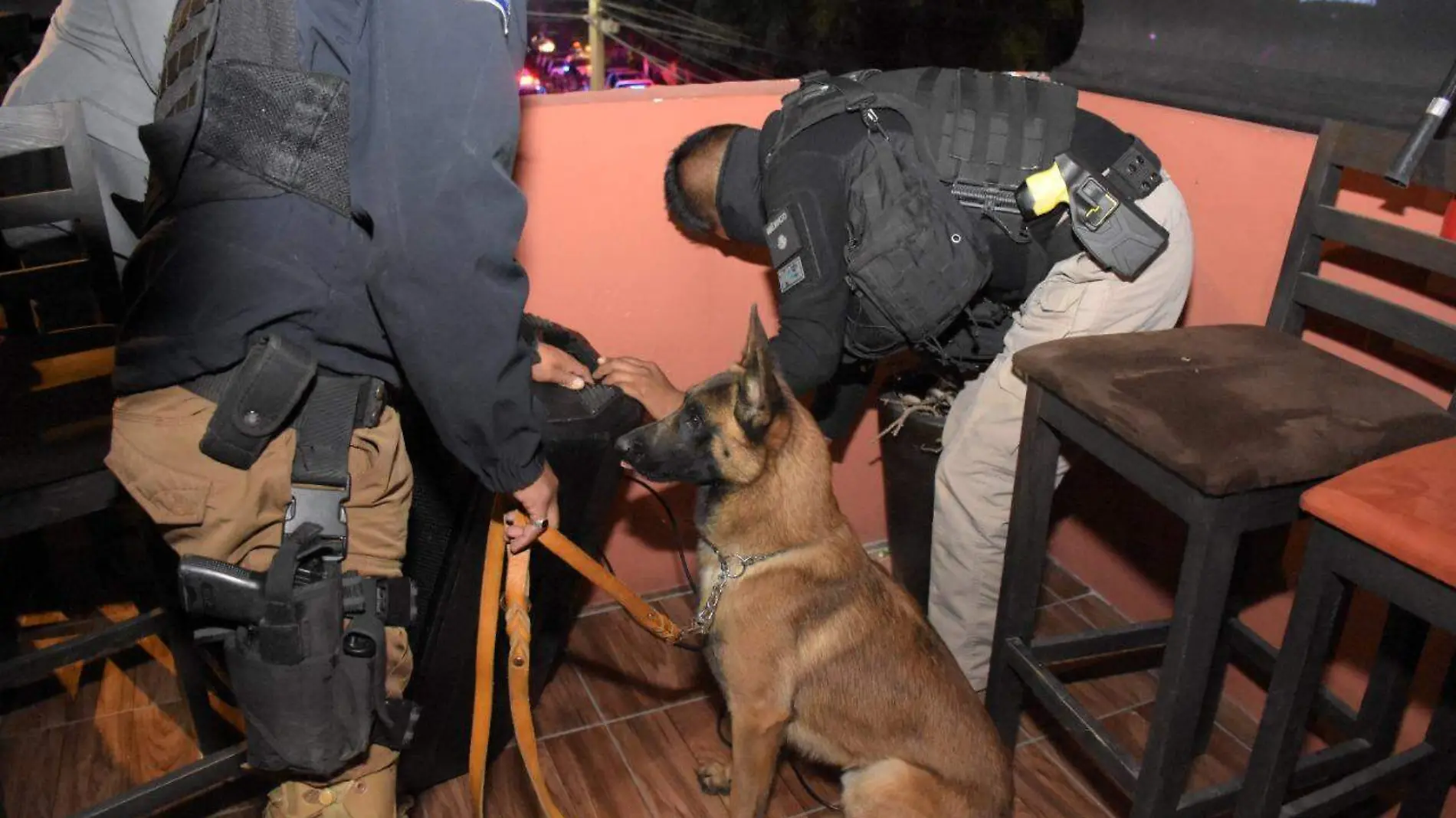 Se utilizaron elementos caninos para la detección de posibles narcóticos.